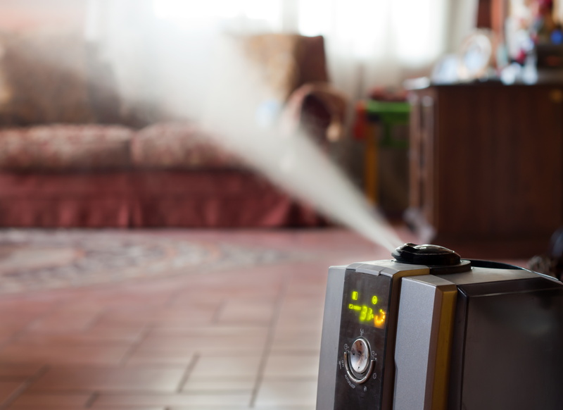 Why You Need a Humidifier for Winter
