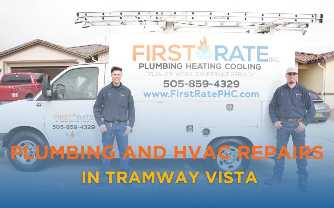 Plumbing and HVAC Repairs in Tramway Vista