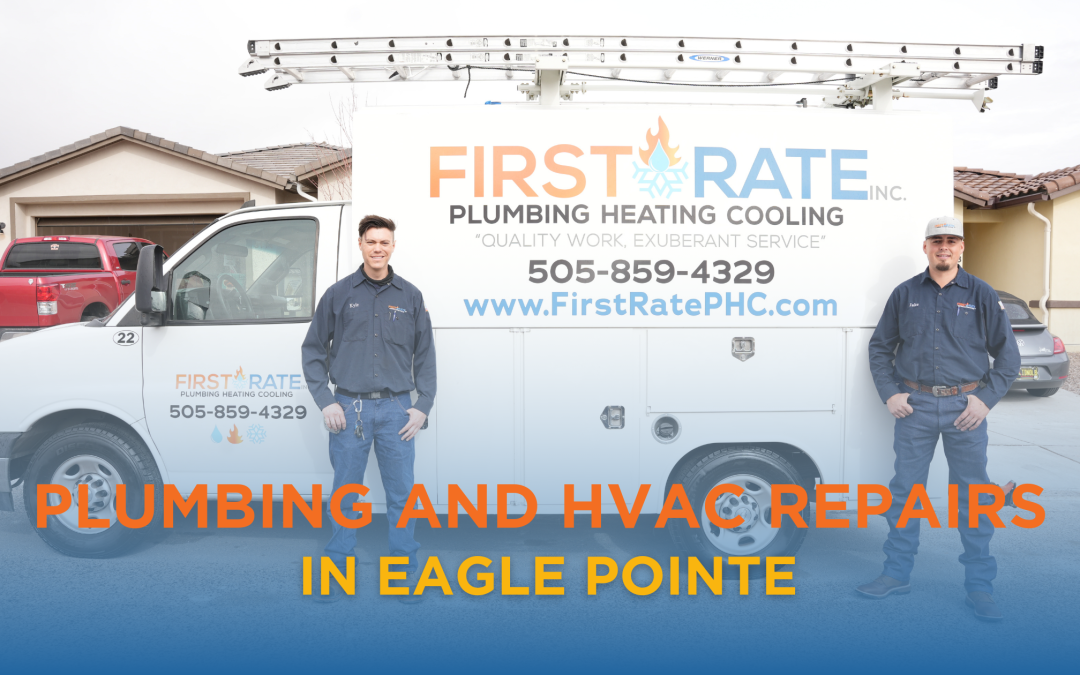 HVAC and Plumbing Services in Eagle Pointe