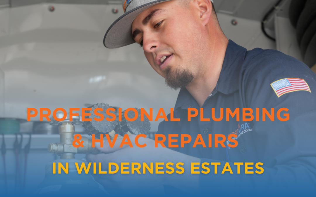 Professional Plumbing & HVAC Repairs in Wilderness Estates