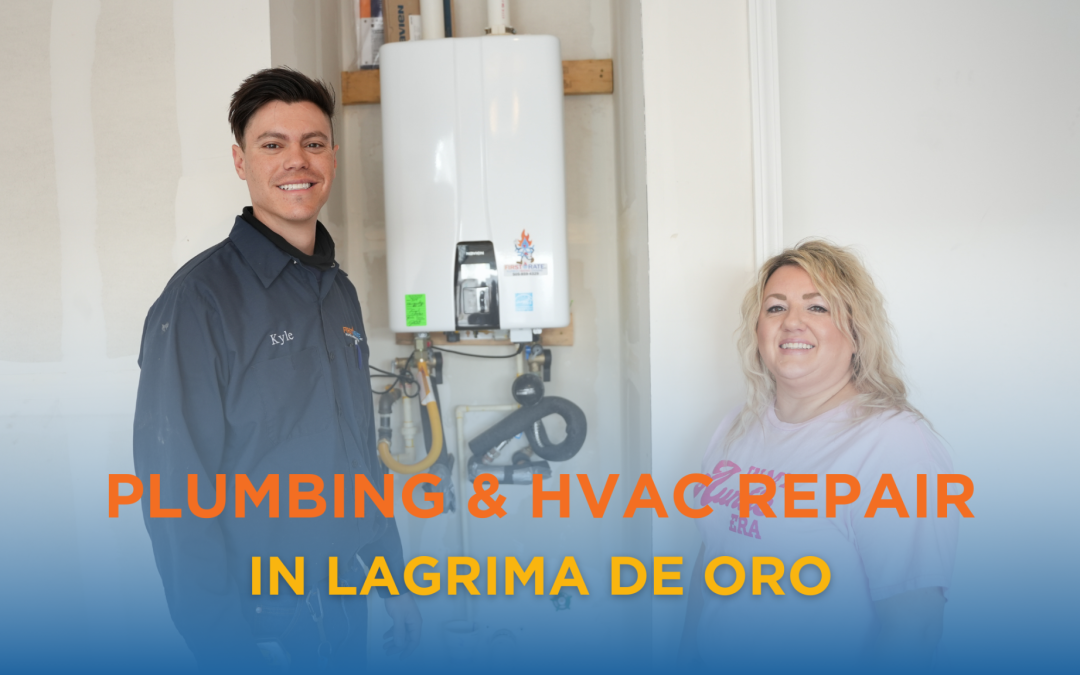 Plumbing & HVAC Repair in Lagrima De Oro | Call Today!